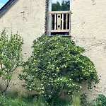 Charmante Maison En Pleine Nature A Georges Sur Loire Nyaraló