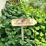 Charmante Maison En Pleine Nature A Georges Sur Loire