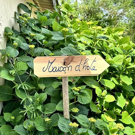 Charmante Maison En Pleine Nature A Georges Sur Loire