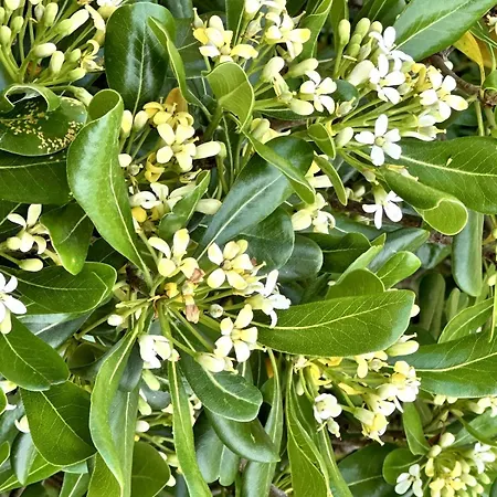 Charmante Maison En Pleine Nature A Georges Sur Loire בית נופש