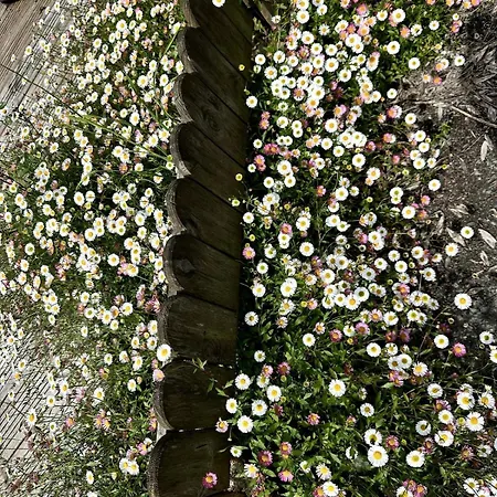 Charmante Maison En Pleine Nature A Georges Sur Loire בית נופש Saint-Georges sur Loire