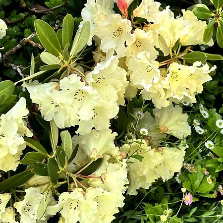 Charmante Maison En Pleine Nature A Georges Sur Loire Vakantiehuis Saint-Georges sur Loire
