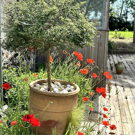 Charmante Maison En Pleine Nature A Georges Sur Loire