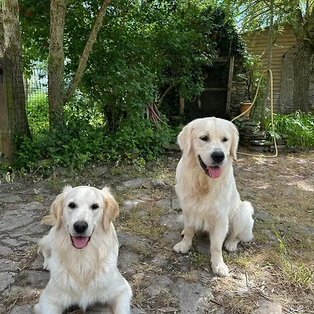 Feriehus Charmante Maison En Pleine Nature A Georges Sur Loire