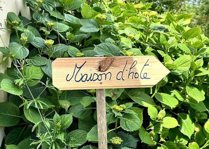 Charmante Maison En Pleine Nature A Georges Sur Loire