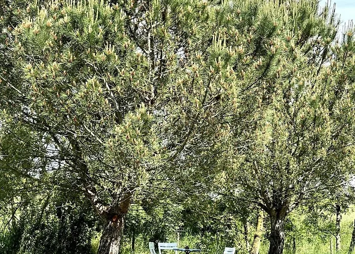 Charmante Maison En Pleine Nature A Georges Sur Loire Saint-Georges sur Loire