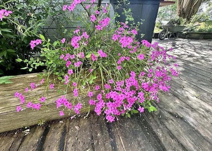 Charmante Maison En Pleine Nature A Georges Sur Loire * Saint-Georges sur Loire