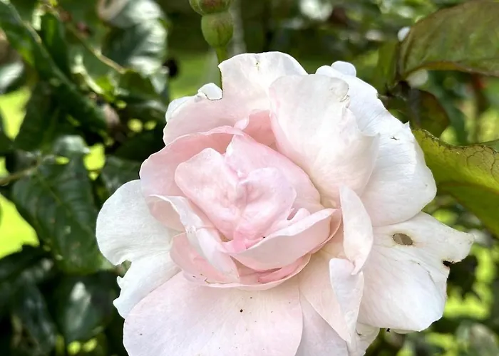 Charmante Maison En Pleine Nature A Georges Sur Loire *