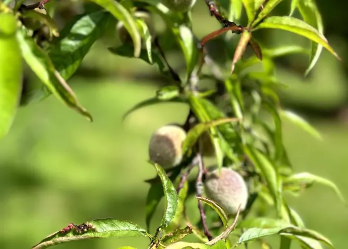 Charmante Maison En Pleine Nature A Georges Sur Loire בית נופש