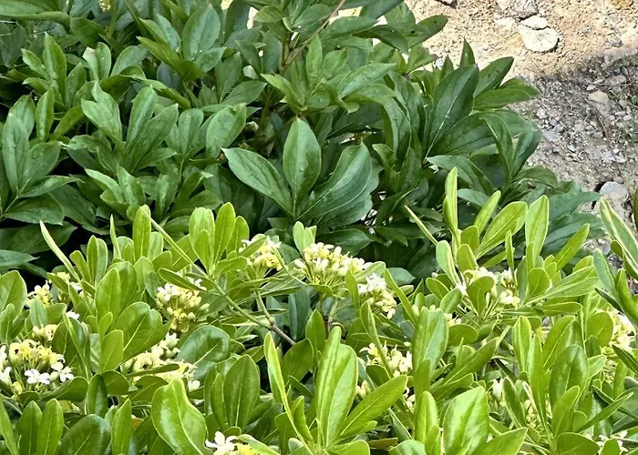 Charmante Maison En Pleine Nature à Georges Sur Loire Casa vacanze Saint-Georges sur Loire