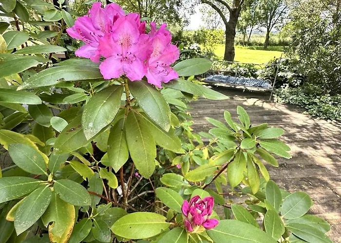Charmante Maison En Pleine Nature à Georges Sur Loire Saint-Georges sur Loire