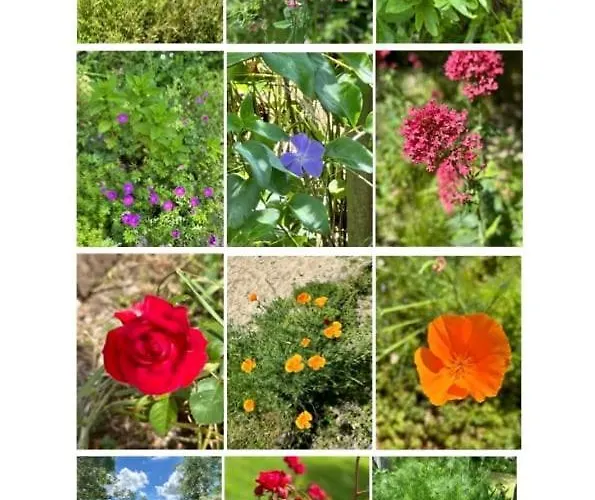 Vakantiehuis Charmante Maison En Pleine Nature A Georges Sur Loire Saint-Georges sur Loire