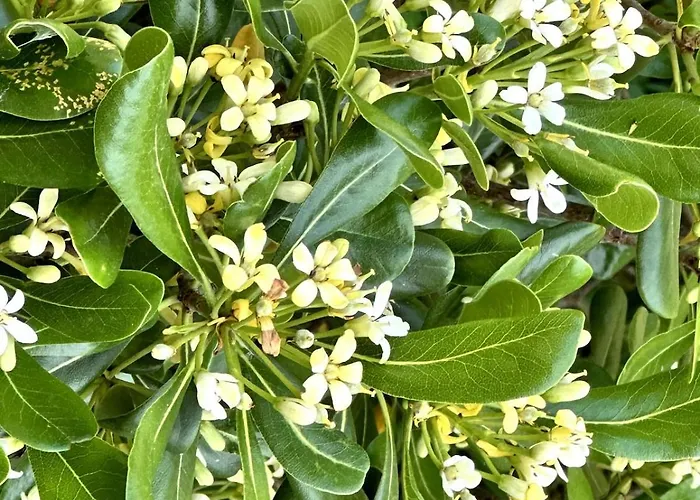 Charmante Maison En Pleine Nature A Georges Sur Loire בית נופש