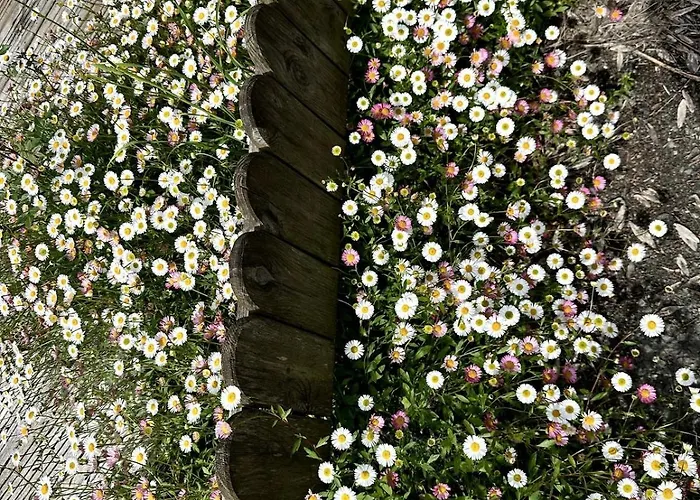 Charmante Maison En Pleine Nature A Georges Sur Loire Vakantiehuis Saint-Georges sur Loire