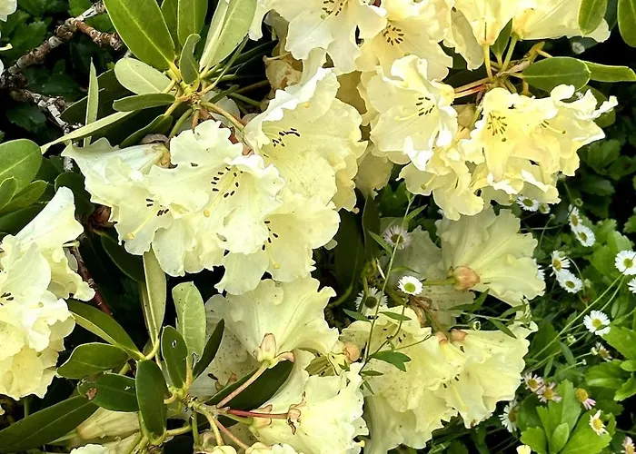 Charmante Maison En Pleine Nature A Georges Sur Loire Semesterbostad Saint-Georges sur Loire
