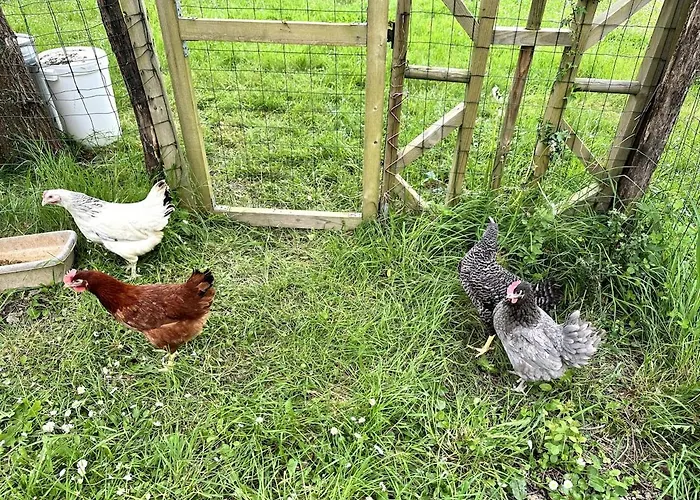 Charmante Maison En Pleine Nature A Georges Sur Loire