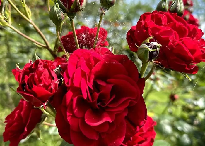Charmante Maison En Pleine Nature A Georges Sur Loire Vakantiehuis Saint-Georges sur Loire