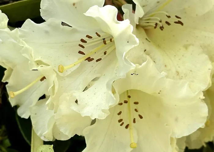 Charmante Maison En Pleine Nature A Georges Sur Loire