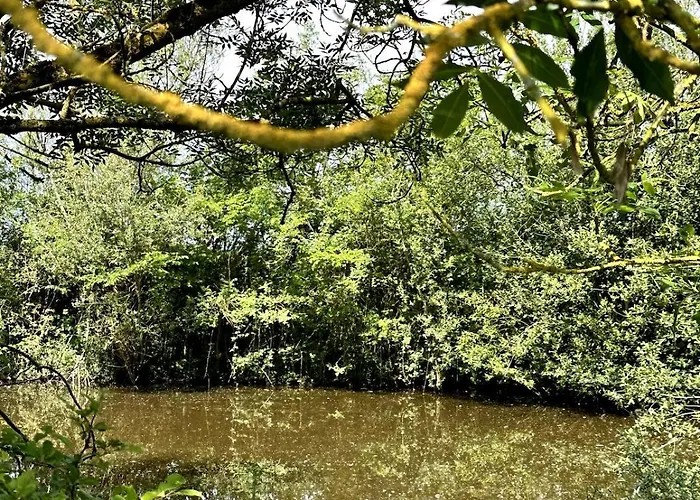 Charmante Maison En Pleine Nature A Georges Sur Loire Saint-Georges sur Loire