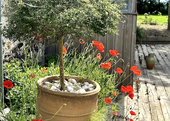 Charmante Maison En Pleine Nature à Georges Sur Loire