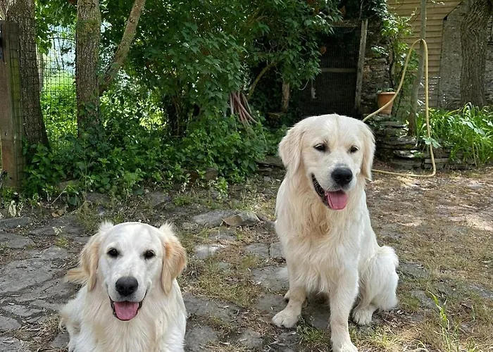 Semesterbostad Charmante Maison En Pleine Nature A Georges Sur Loire