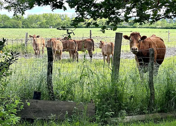 Semesterbostad Charmante Maison En Pleine Nature A Georges Sur Loire *